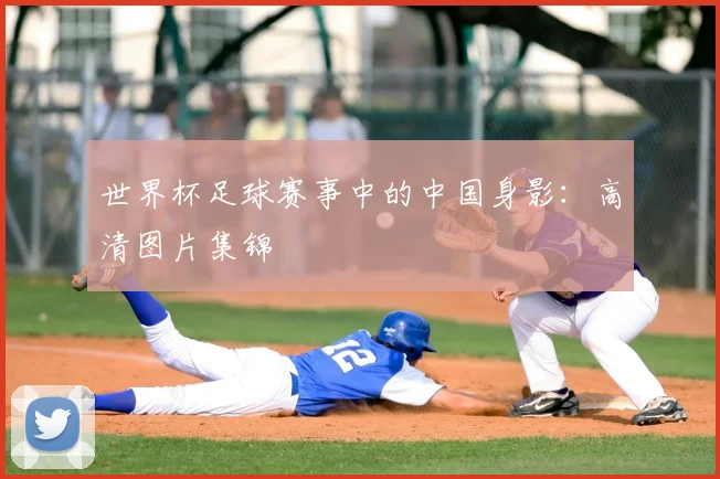 世界杯足球赛事中的中国身影：高清图片集锦
