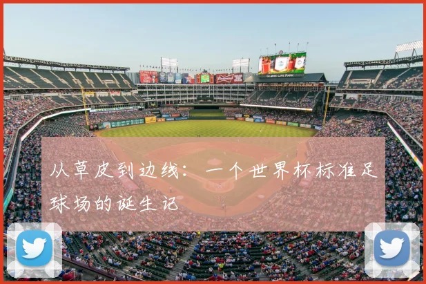 从草皮到边线：一个世界杯标准足球场的诞生记