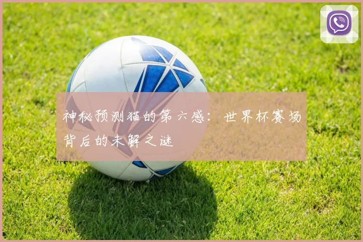 神秘预测猫的第六感：世界杯赛场背后的未解之谜