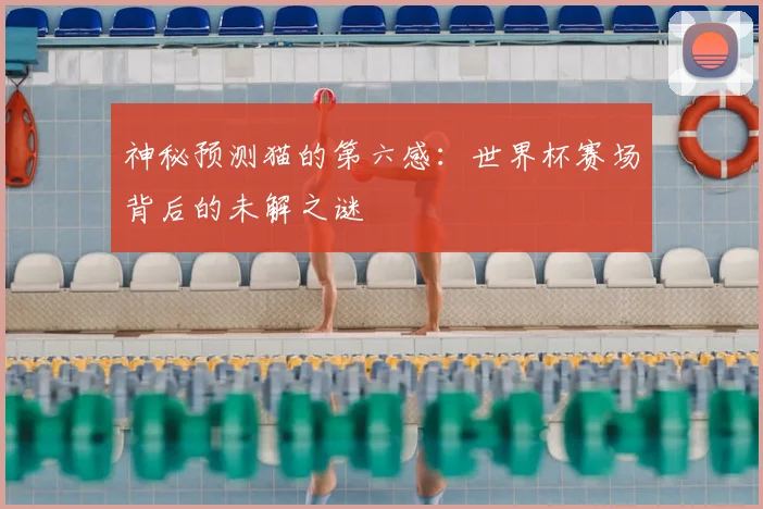 神秘预测猫的第六感：世界杯赛场背后的未解之谜