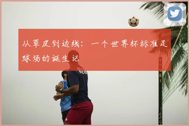 从草皮到边线：一个世界杯标准足球场的诞生记