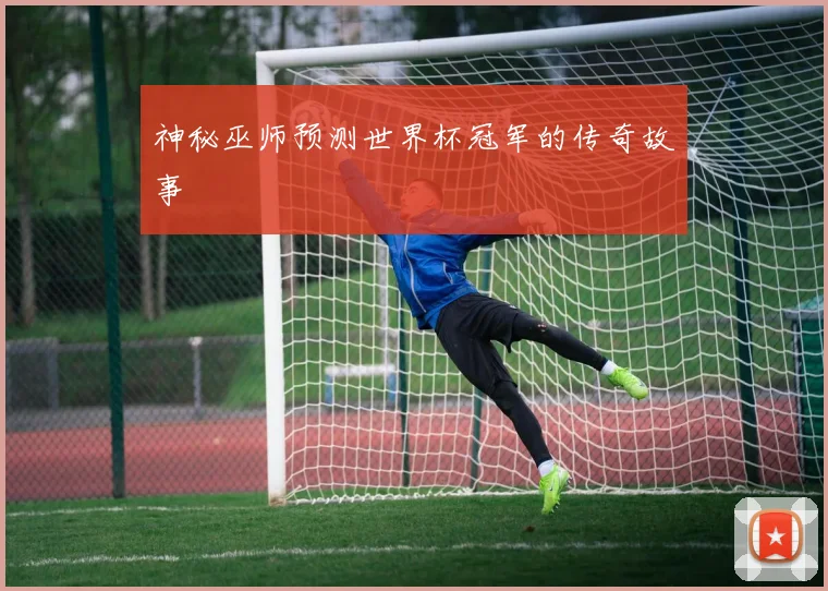 神秘巫师预测世界杯冠军的传奇故事