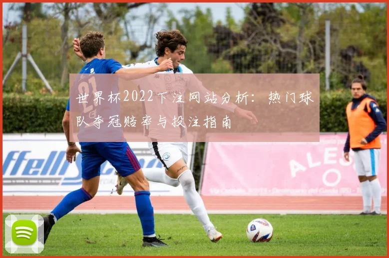 世界杯2022下注网站分析：热门球队夺冠赔率与投注指南